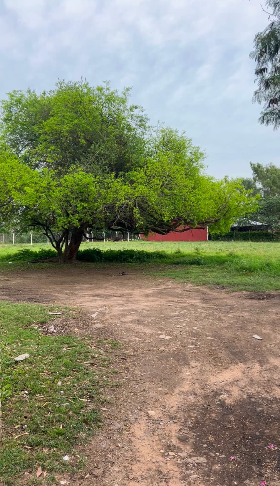 Alquilo amplio terreno sobre avenida principal en San Bernardino