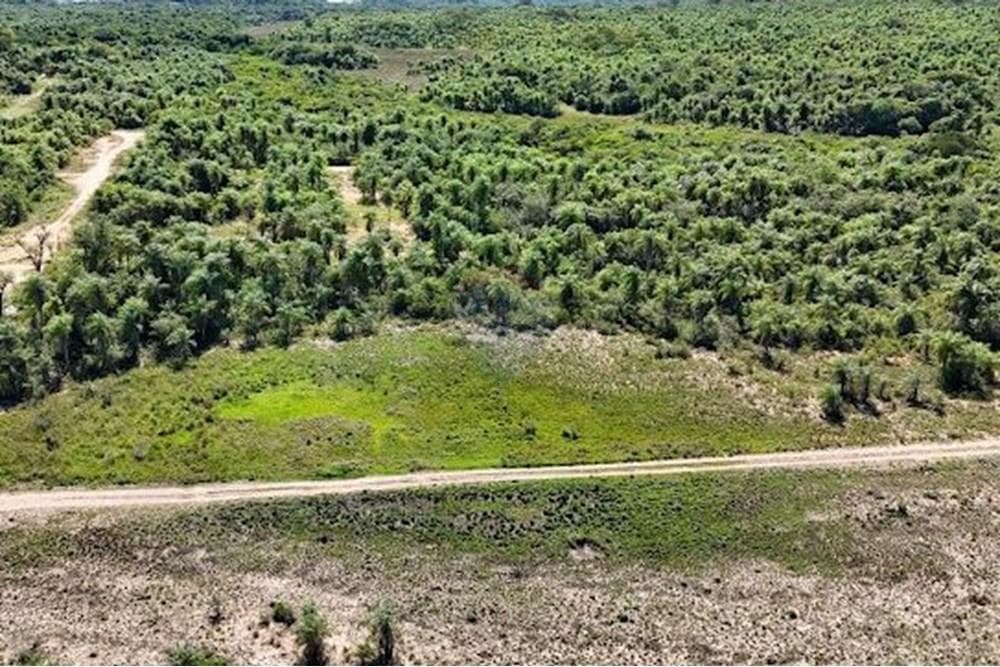 Atencion inversionistas en venta gran terreno en caacupe, foto 4