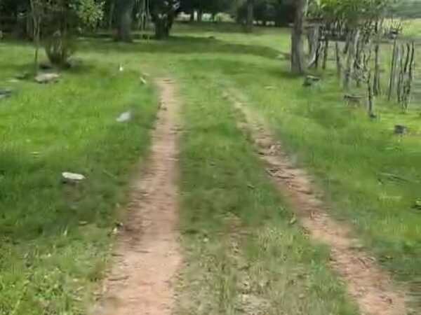 14 has en ybytimí paraguarí, foto 3