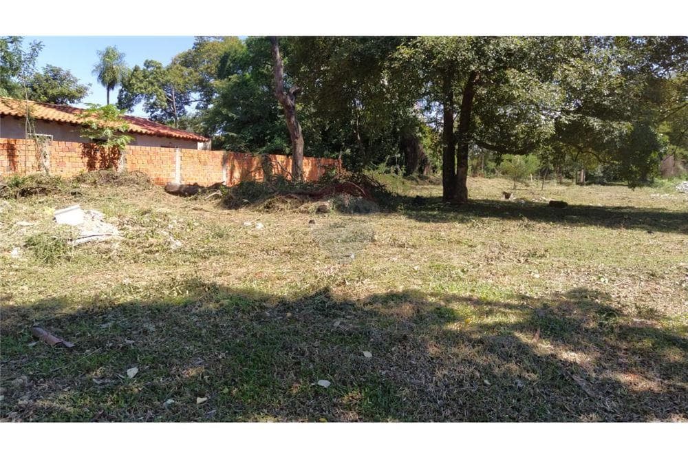 Terreno 9.807m2 - loma merlo-zona rakiura, foto 5