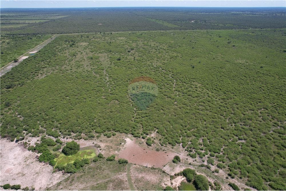 campo de 3,749 Hectáreas en Presidente Hayes a 740 USD por Ha, foto 5