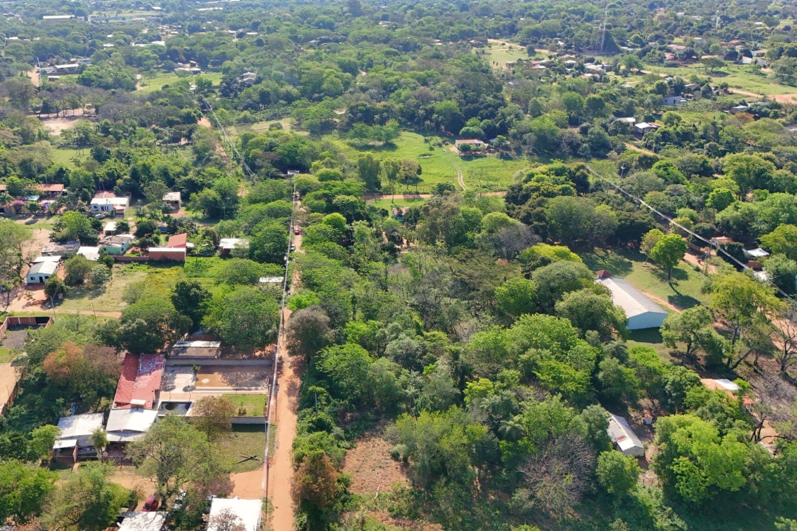 De Terreno En Limpio, foto 2