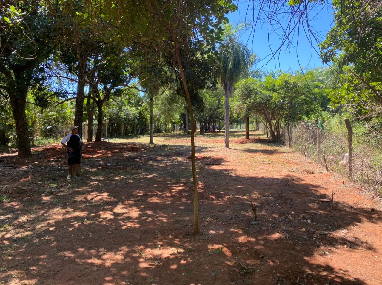 Hermoso Terreno de 1315 m2 en Luque, foto 2