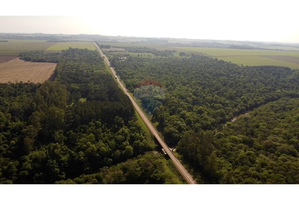 Finca Agrícola: Inversión en Pirapó, Itapúa, foto 4