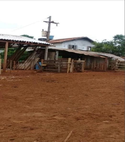 Campo de 63 Hectáreas en Alto Paraná, Los Cedrales-CLCS5607358, foto 5