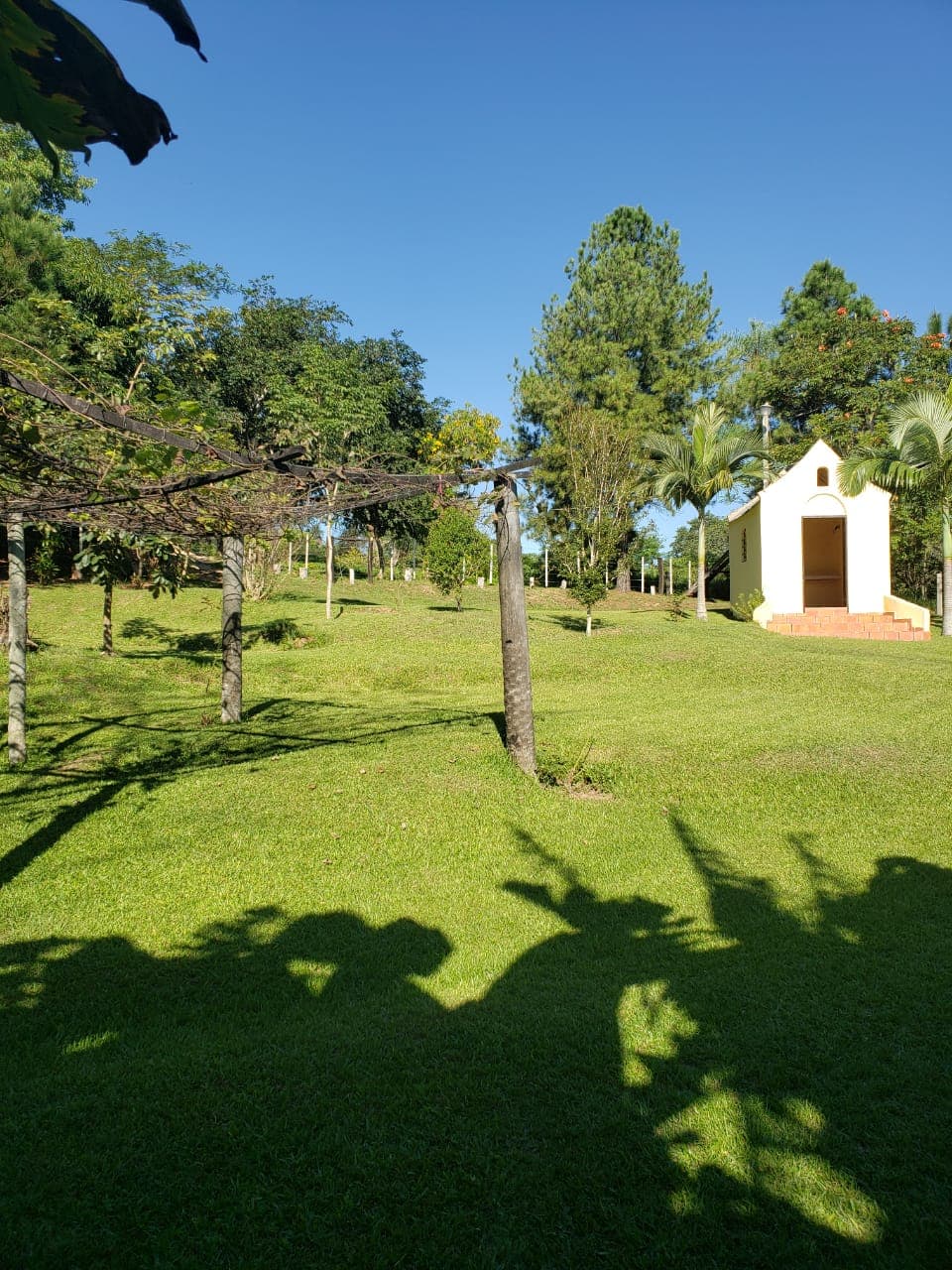9.3 ha. Sobre ruta 2 en caaguazu km 169, foto 3