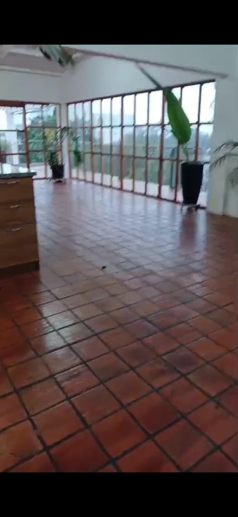 Local amplio en azotea de edificio!!! — foto 5