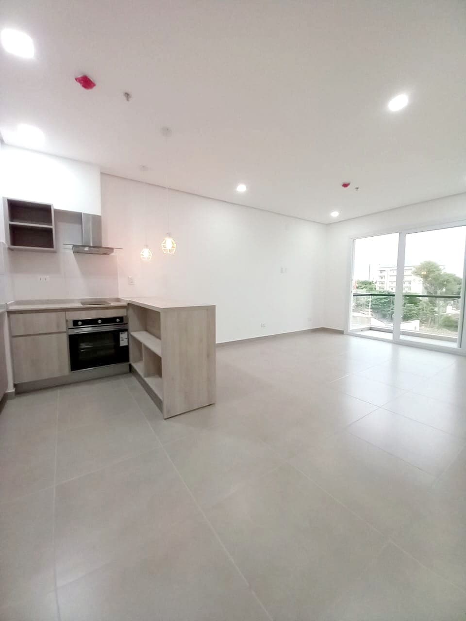 departamento de 2 habitaciones a estrenar, Barrio Herrera, foto 2