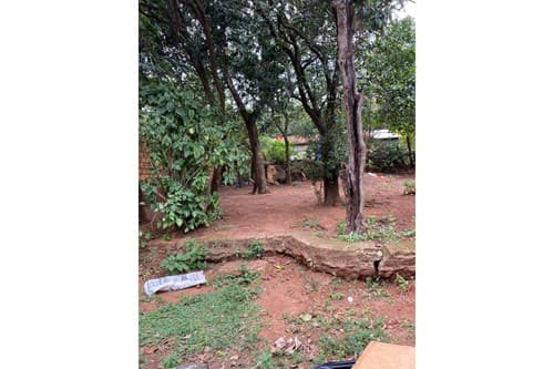 Terreno en San Lorenzo, foto 2