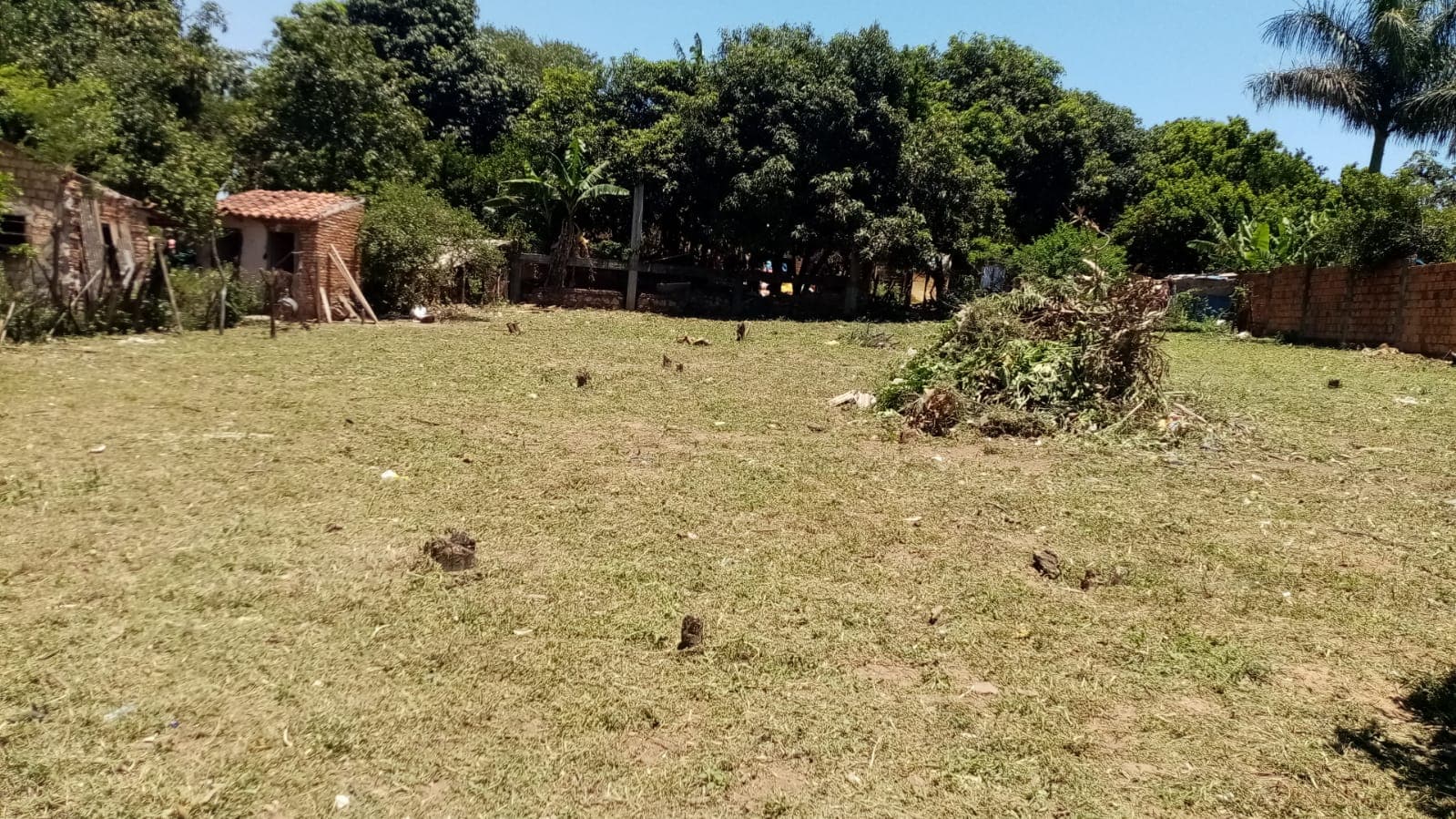 Terrenos en san antonio, foto 1