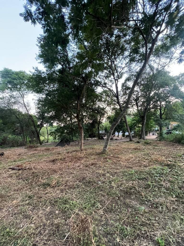 Este terreno en Luque, Barrio Isla Bogado, puede ser para vos . ID 48518, foto 2