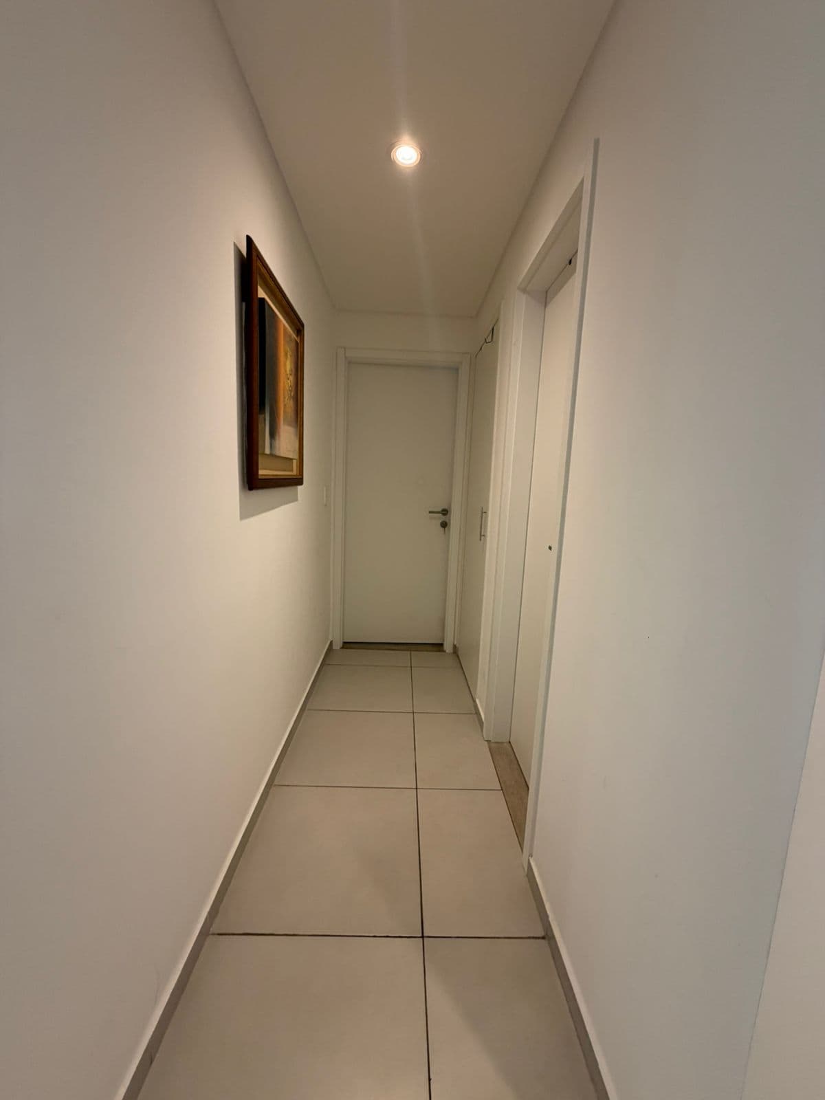 Depto amoblado de un dormitorio vista penthouse en fortaleza boggiani, foto 5