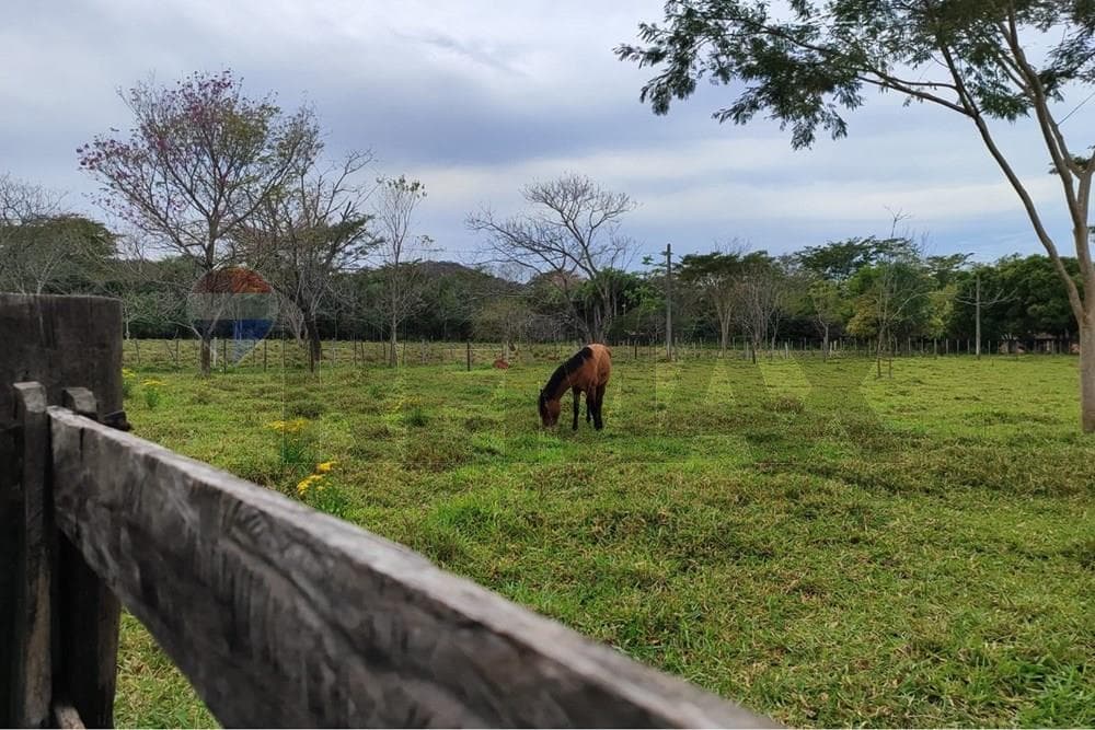 14 hectareas en yaguaron paraguari, foto 4