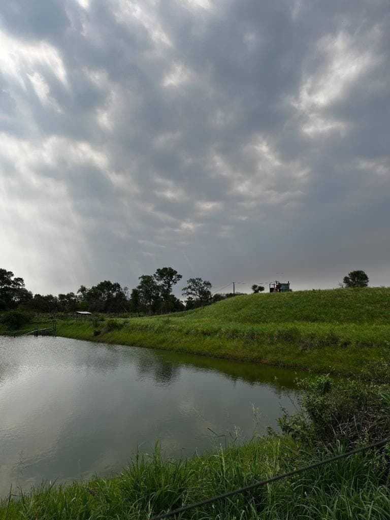 En venta estancia formada y en produccion de 554 hectáreas, foto 4
