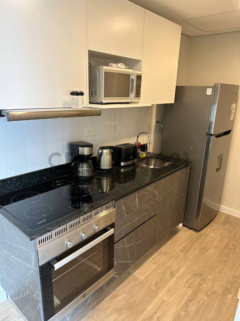 departamento de 1 dormitorio amoblado en Mburucuya, foto 5
