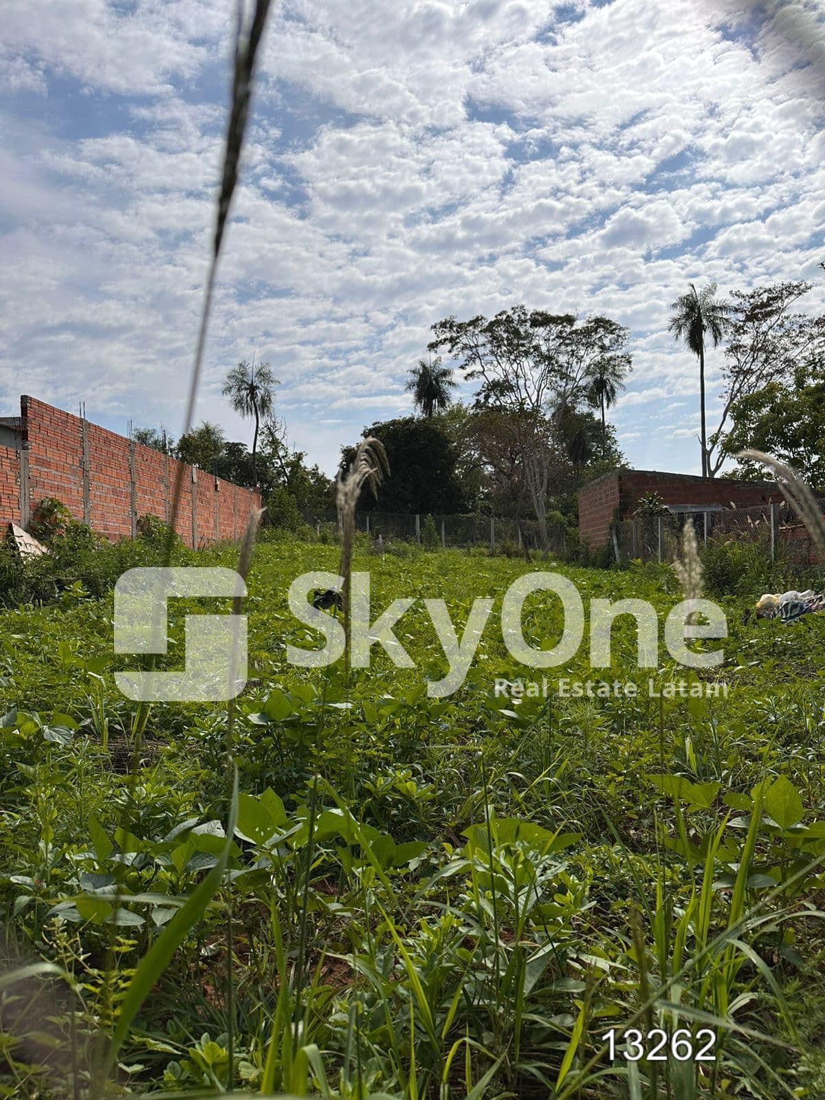 Terreno en aregua, foto 3