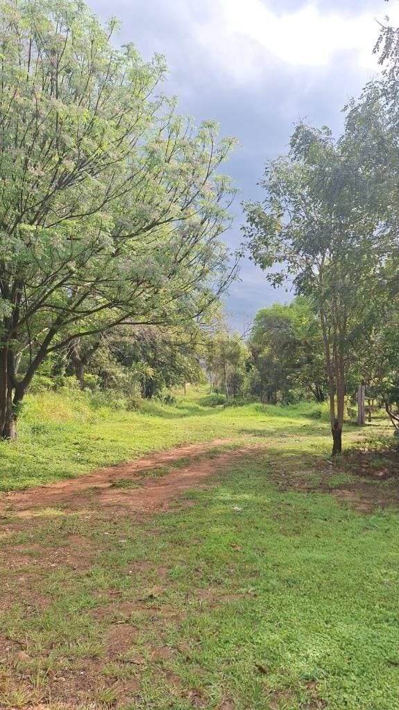 de Terreno en San Bernardino, Cordillera, foto 3