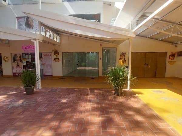 De local comercial – avenida boggiani — foto 1