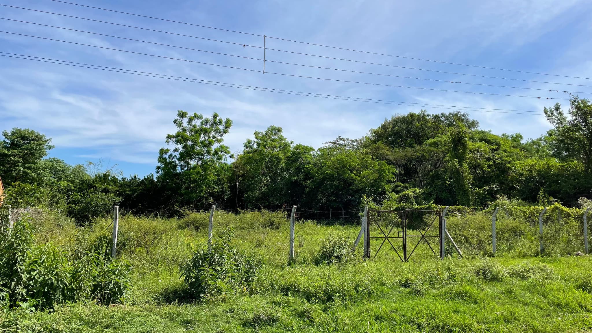 Se Vende Terreno De 880 M2 En Luque, Zarate Isla — foto 4