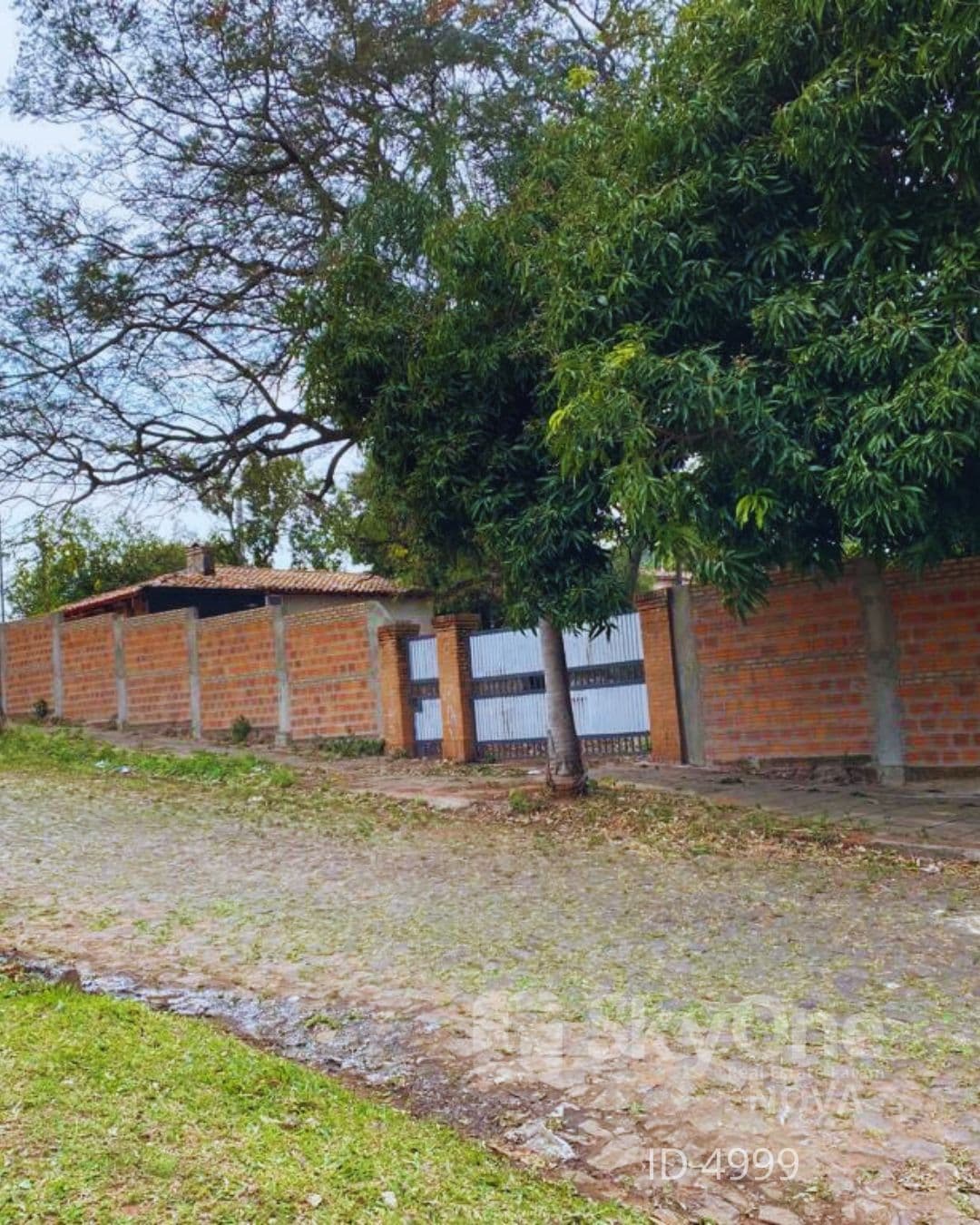 Terreno lambare zona yacht y golf club, foto 2