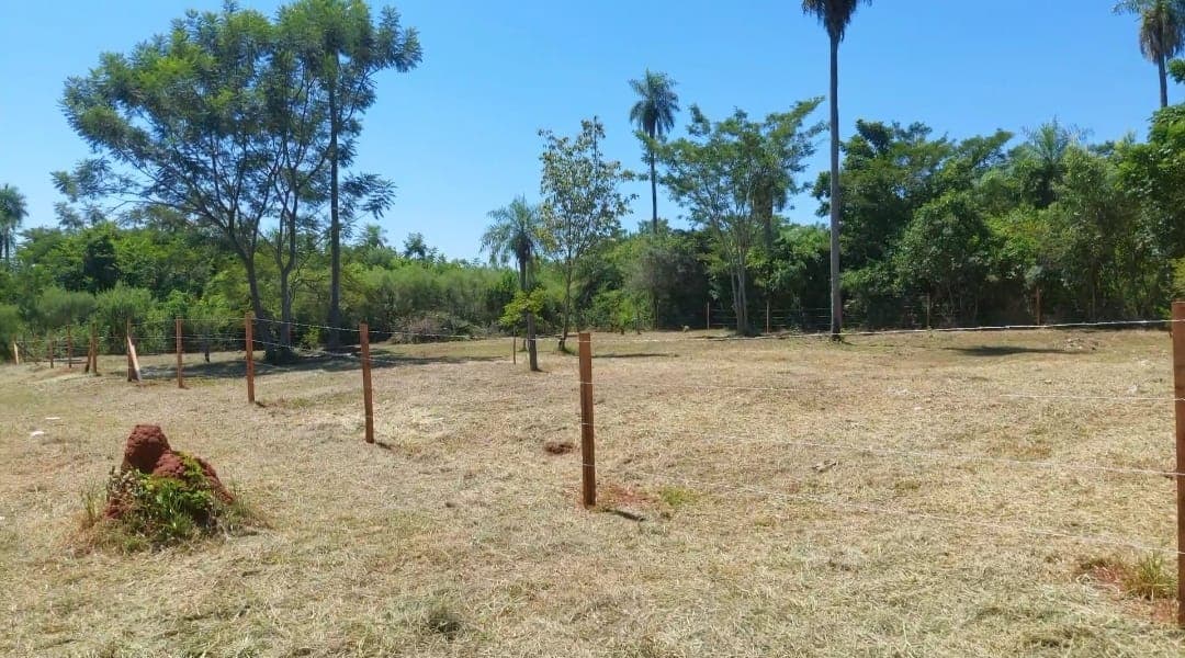 Terreno