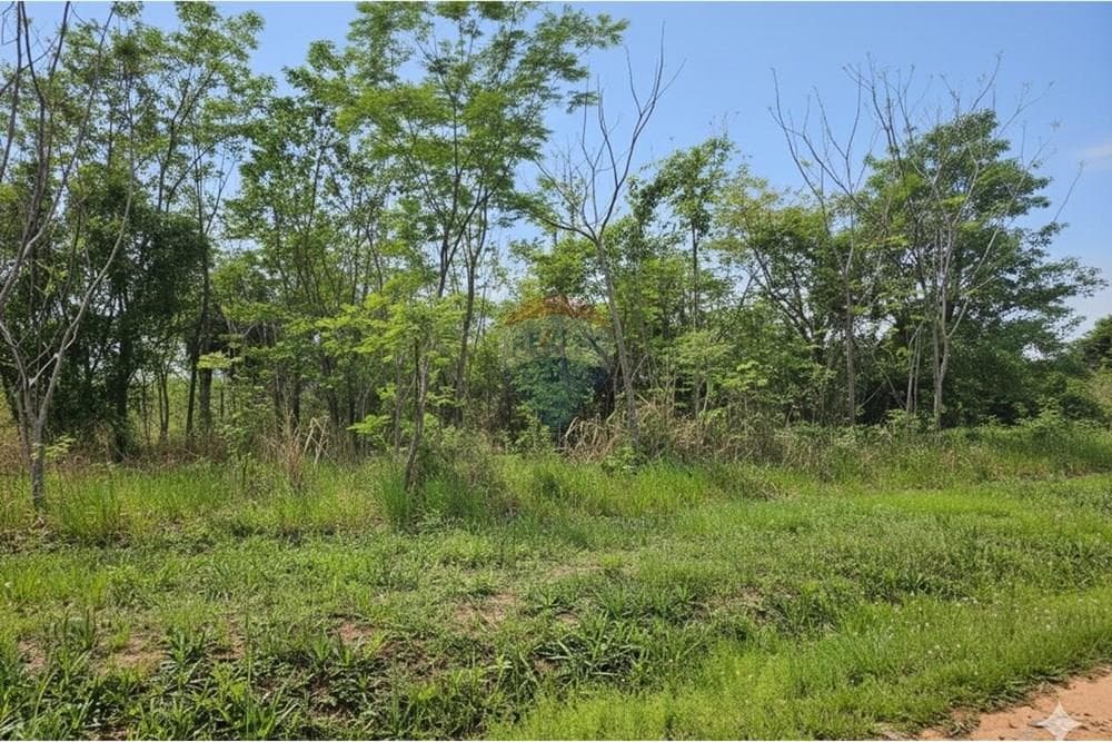 Terreno en Venta – Club Centenario Surubi’í, foto 3