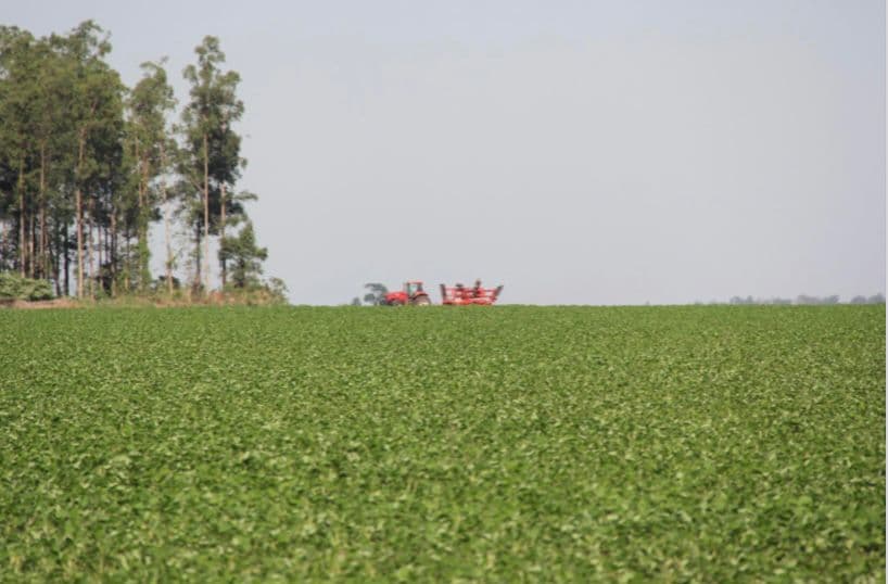 Campo de 9.158 Hectáreas en Ita Verá, Amambay-CLCS5654176, foto 1