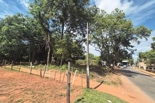 Terreno-Venta-Emilio Gabriaguez, Casco Urbano, Capiata, Central, foto 5