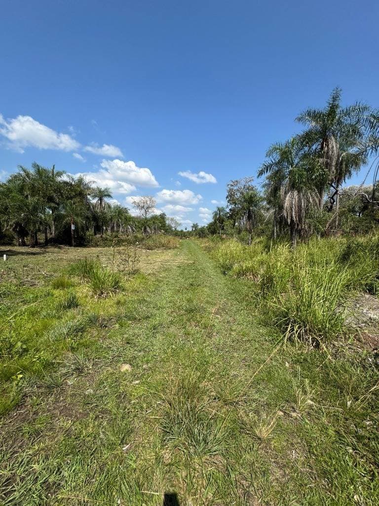 Terreno En Venta En San Bernardino Zona Ciervo Cua, foto 2