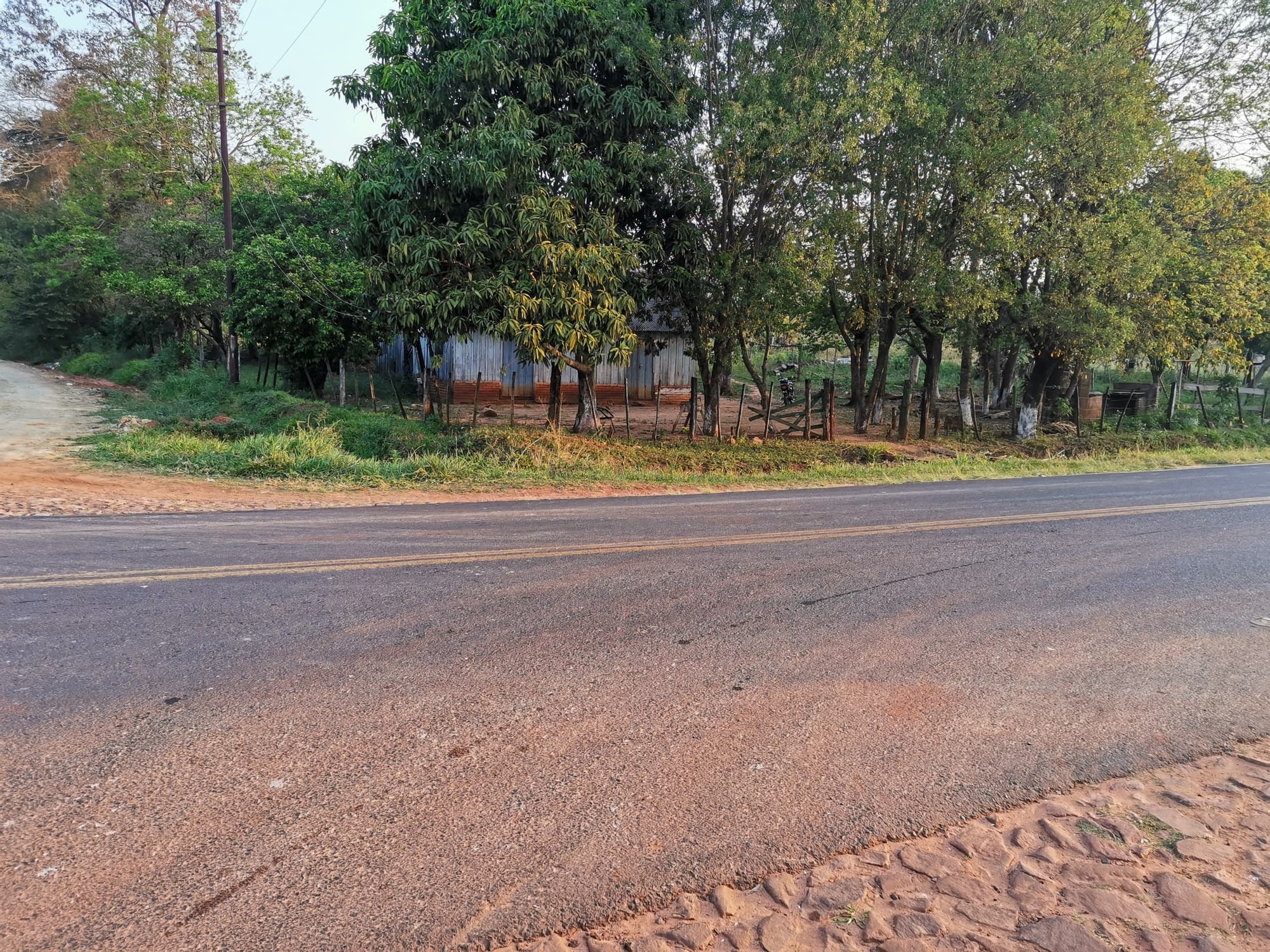 10 Hectáreas Dr Cecilio Báez-Caaguazú Sobre Asfalto Por: 700 Millones — foto 2
