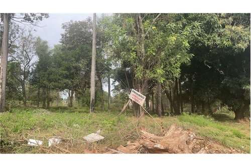 Terreno-Venta-1ro de marzo, acceso sur, Mbokajaty, Ñemby, Central — foto 3