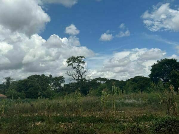 4 terrenos juntos a 550 metros de la ruta internacional| propiedad en esquina, foto 2