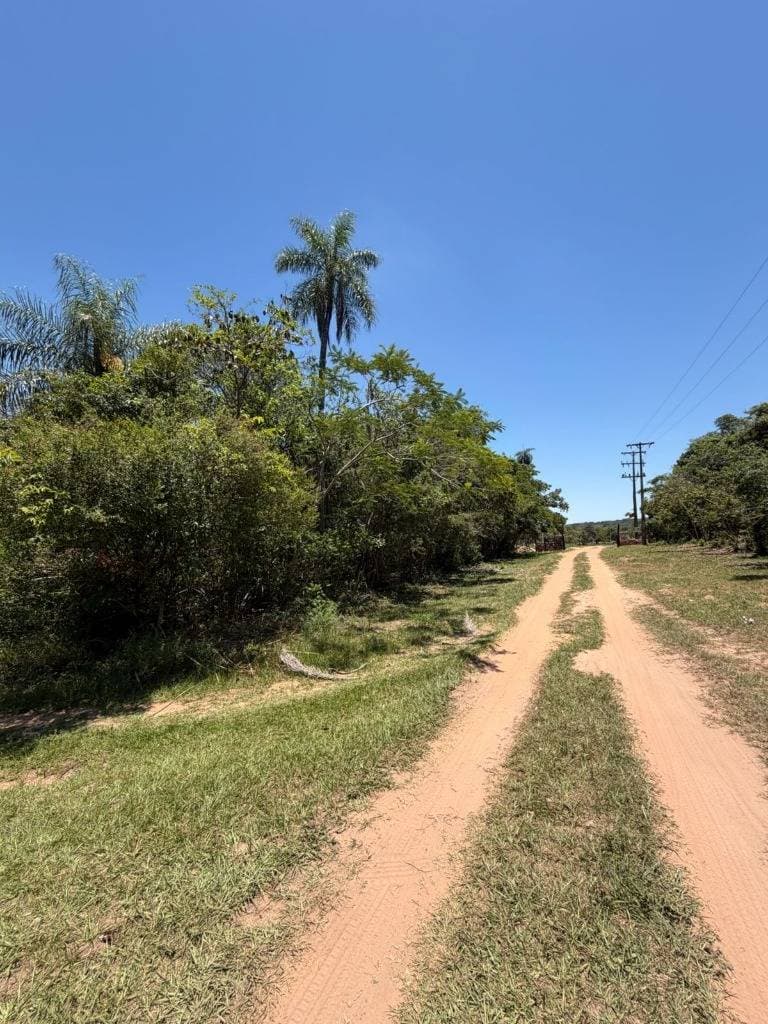 de Terreno en Altos – Excelente Ubicación y Plusvalía, foto 2