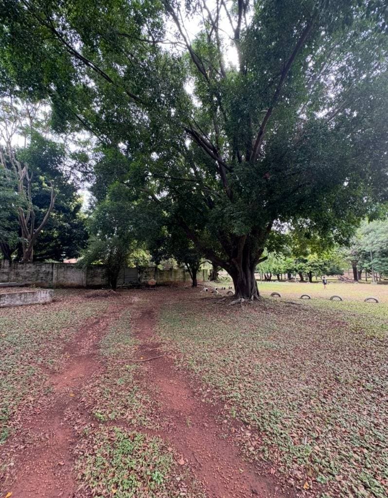 Terreno ideal para desarrollo inmobiliario en Luque — foto 5