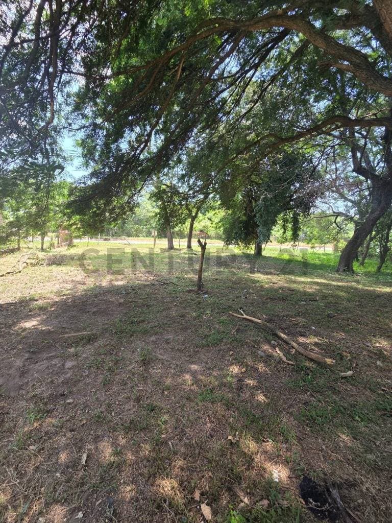 terreno zona Rakiura, foto 5