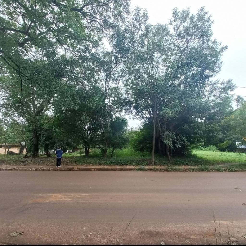 Terreno en barrio quiteria en encarnacion, foto 2