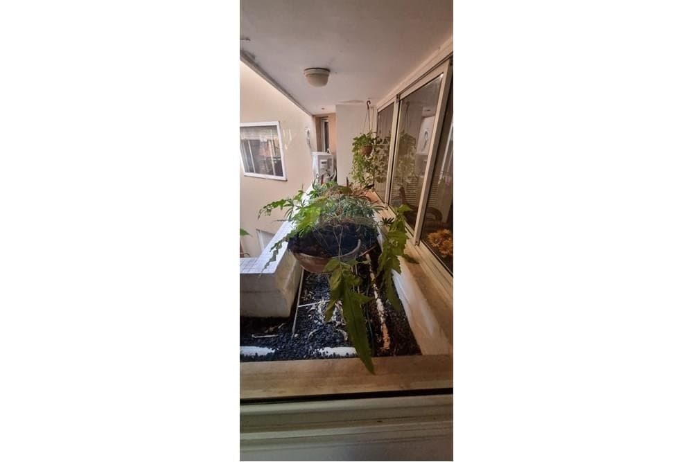 Amplio departamento en venta – edificio Manorá, Asunción, foto 3