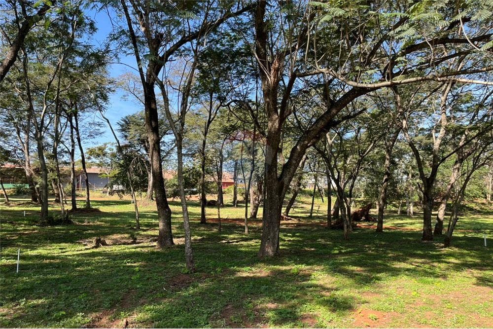 Terreno - Venta - Villa Elisa, Paraguay, foto 5
