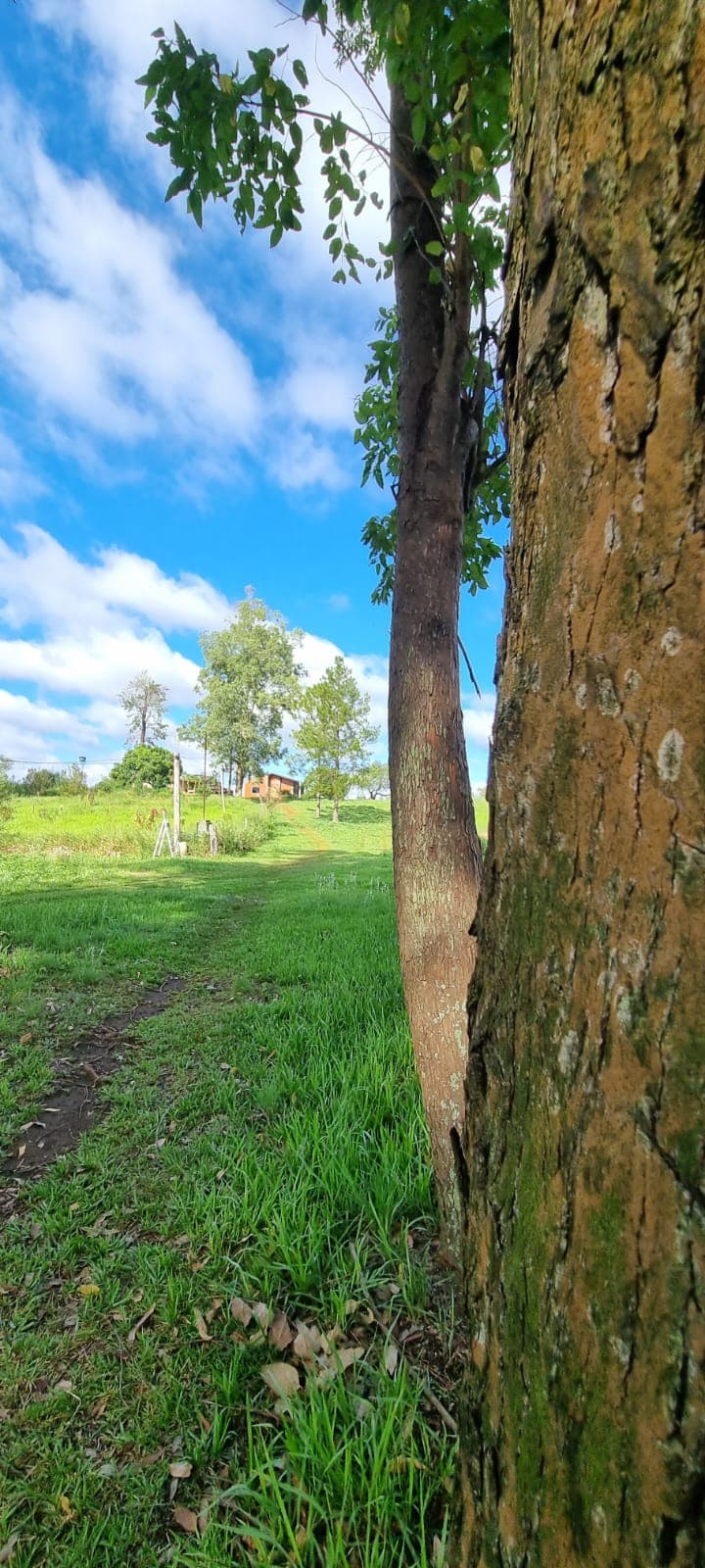 Exclusiva Granja de Ensueño: 8.5 Hectáreas de Oportunidad y Belleza en Hernandarias