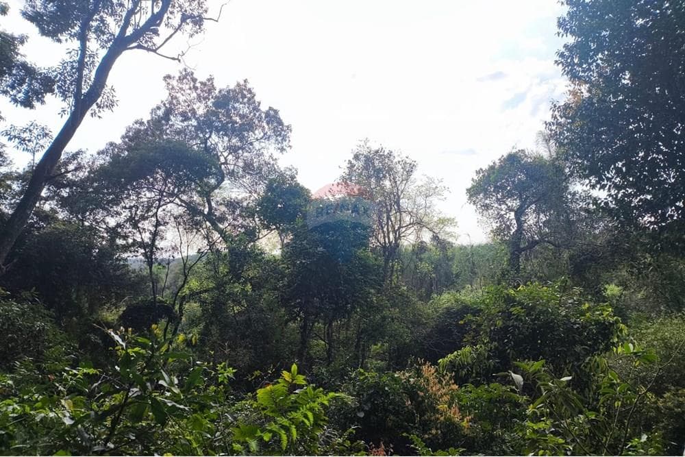 Terreno de 6 Hectáreas en Eusebio Ayala - Ideal para Desarrollo a Gran Escala, foto 2