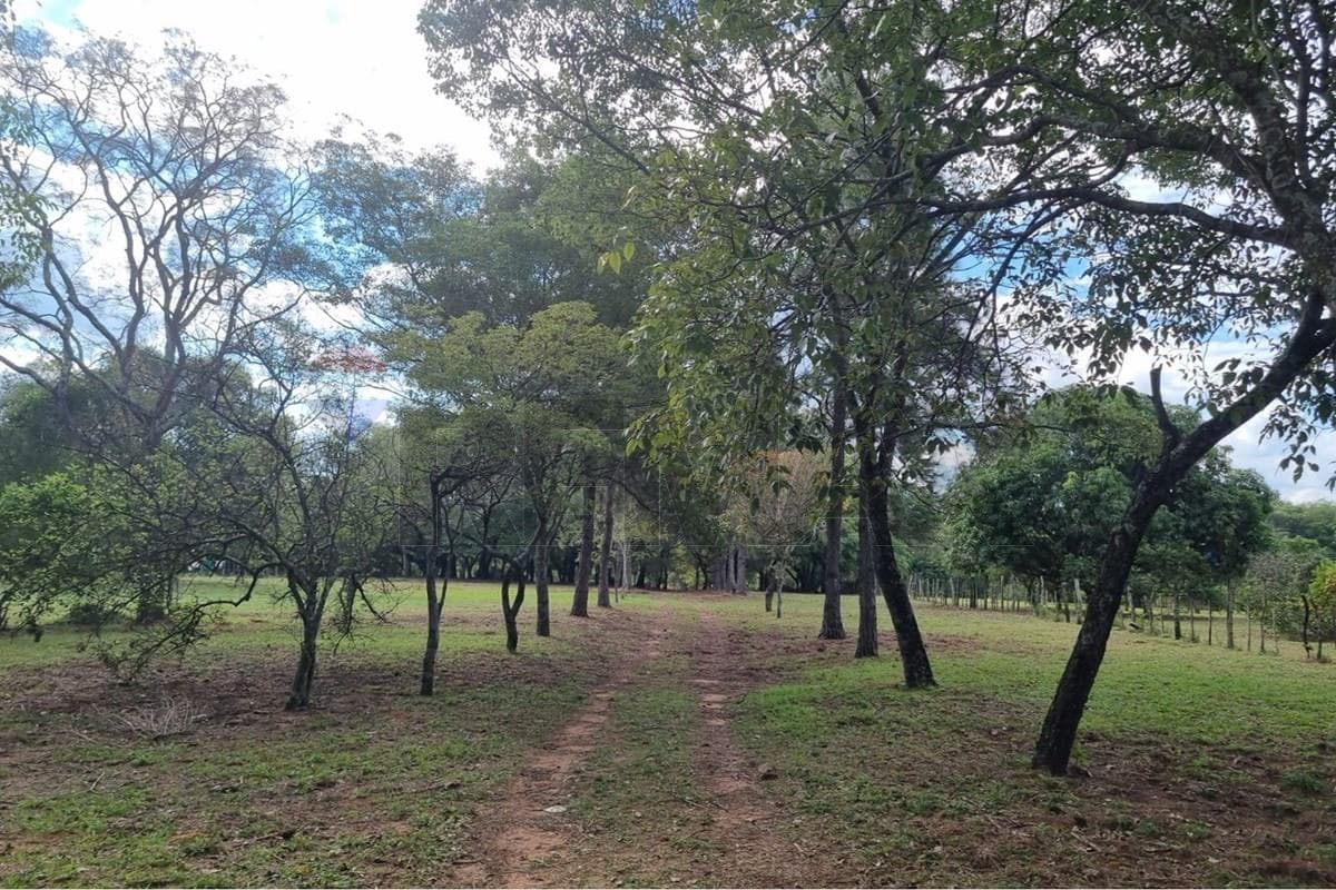 Ideal Inversiones de 8 hectáreas CAACUPE, foto 4