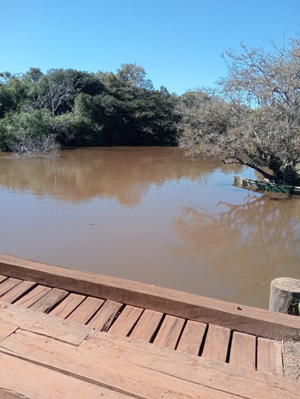 Hectareas en san jose obrero a poco km de asuncion — foto 5