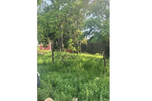 Vendo terreno en lambare barrio san isidro