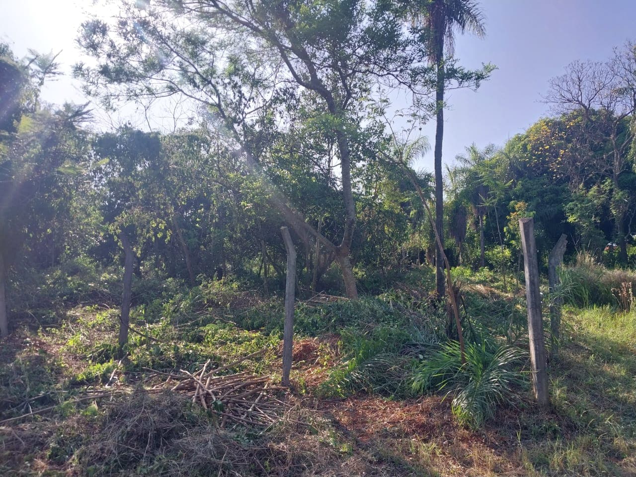2 terrenos juntos en aregua pindolo, foto 2