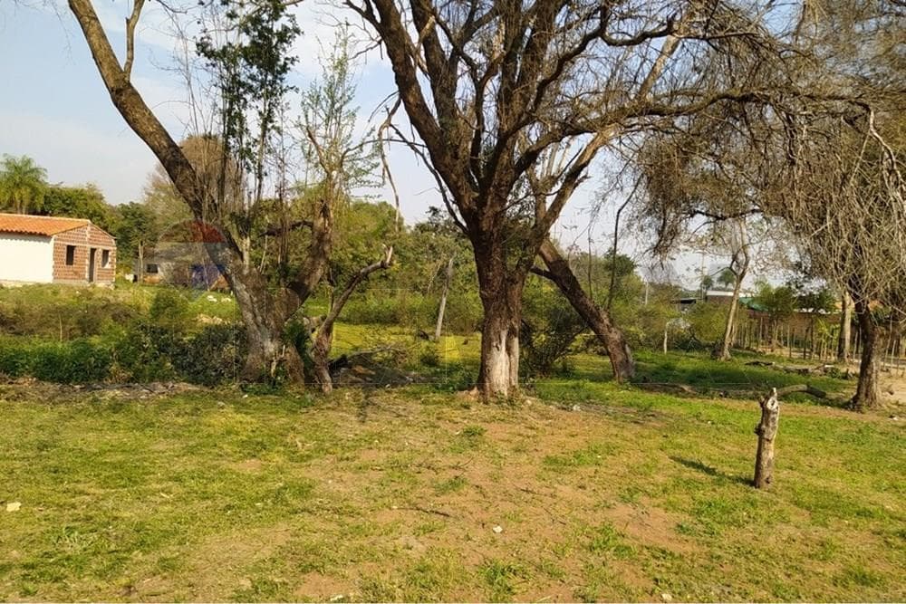 Terreno en venta - Luque — foto 2