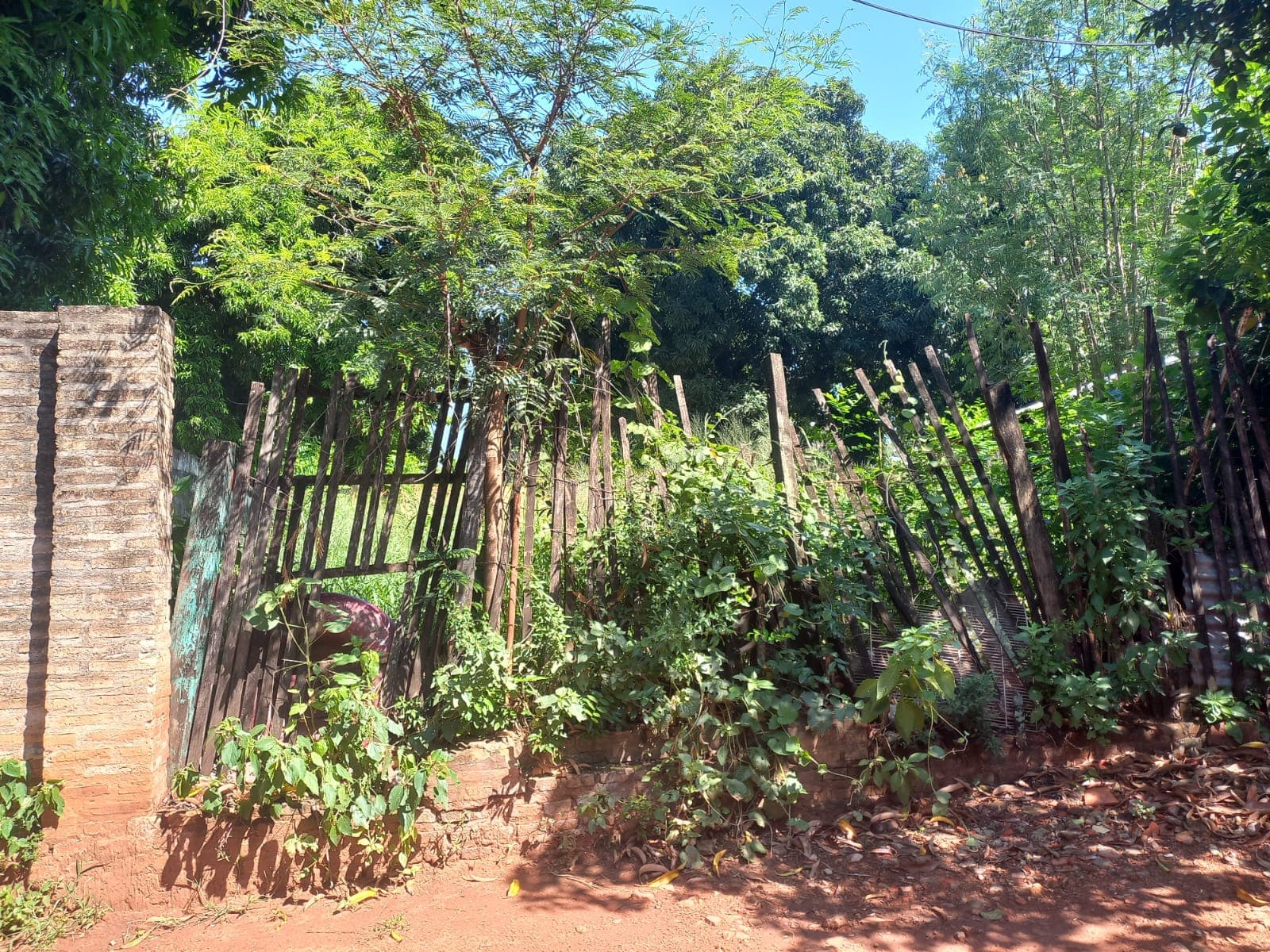 Terreno En Venta – Barrio Ypatí/rosedal, Villa Elisa — foto 2