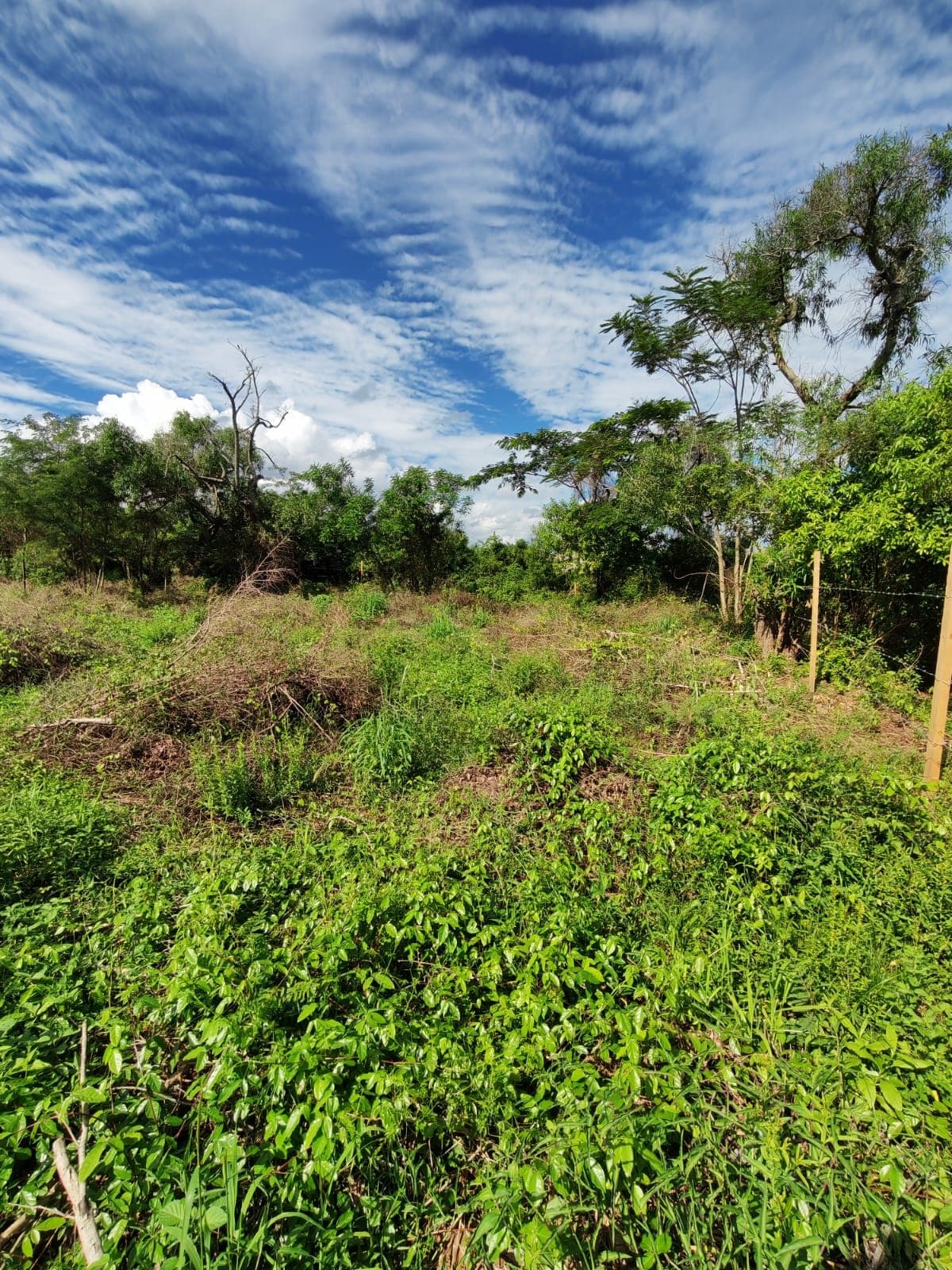 Terreno en guarambare, foto 1