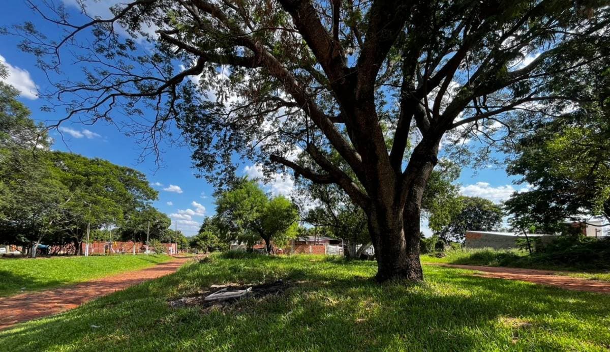 Terreno en pai ñu Ñemby a la venta, foto 3