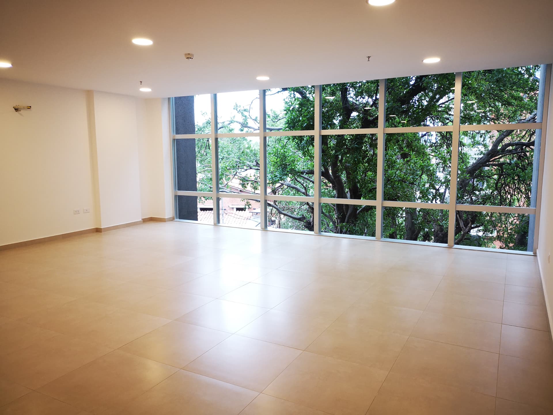 Luminosa Oficina De 69m2 En Imponente Edificio, Ideal Para Invertir, foto 2