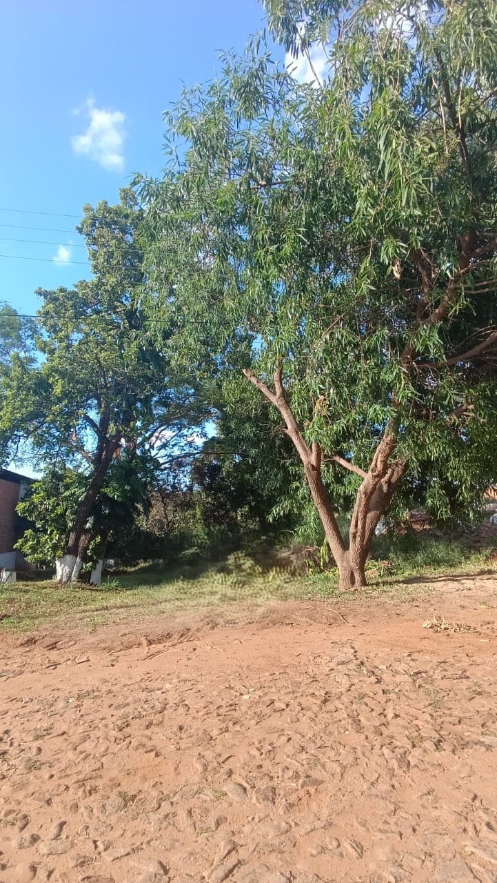 EN VENTA - OFERTA- Barcequillo San Lorenzo 360m2, foto 4